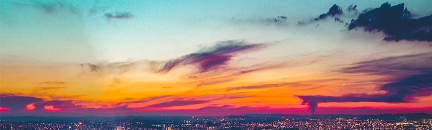 湖北茶虫网_湖北品茶